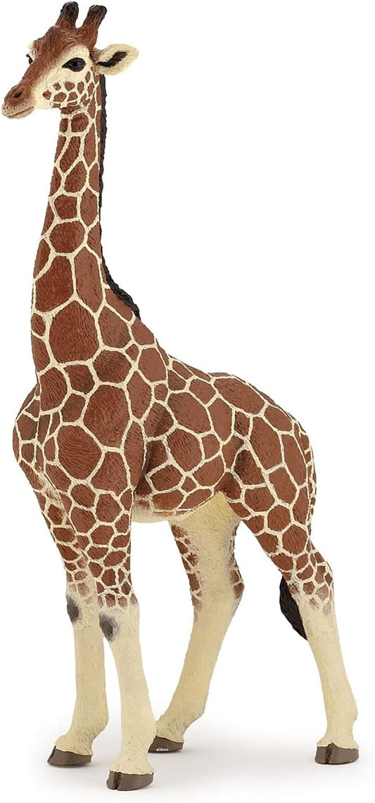 Papo Giraffe Male Figure - Collectible for Children - Suitable for Boys and Girls - From 3 years old