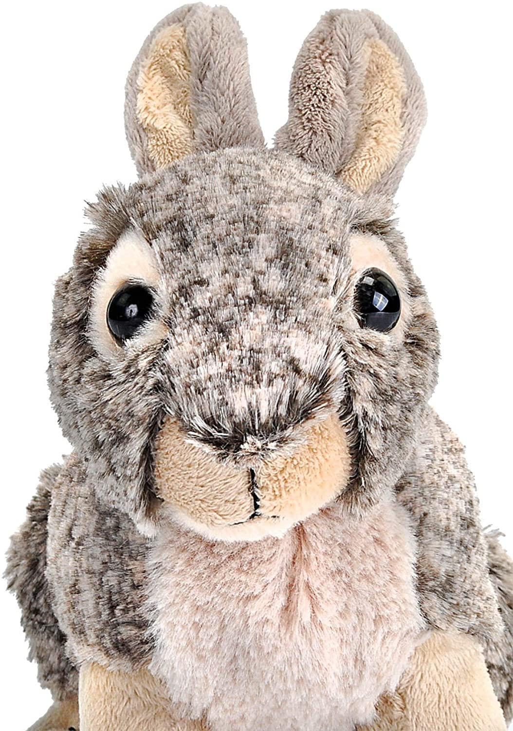 Wild Republic Bunny Plush, Stuffed Animal, Plush Toy, Gifts for Kids, Cuddlekins 8 Inches
