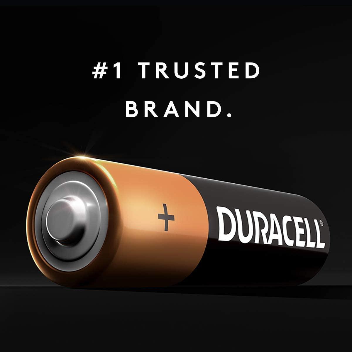 Duracell - CopperTop AAA Alkaline Batteries - long lasting, all-purpose Double A battery for household and business - Duracell 2 Count Batteries