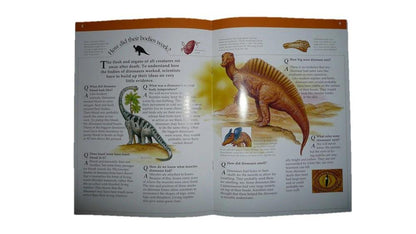 Colorful illustrations Kids Images Book - 3 Different Title Covers, Monster & Wild Animals