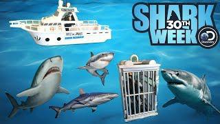 Animal Planet Shark Research Boat - Includes 1 Boat, 1 Shark Cage, 3 Sharks, 2 Action Figures, and 13 Accessories