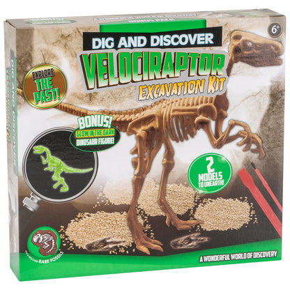 Glow-in-The-Dark Dinosaur Fossil - Dig and Discover Excavation Kit Feature T-rex, Stegosaurus, Triceratops and Velociraptor