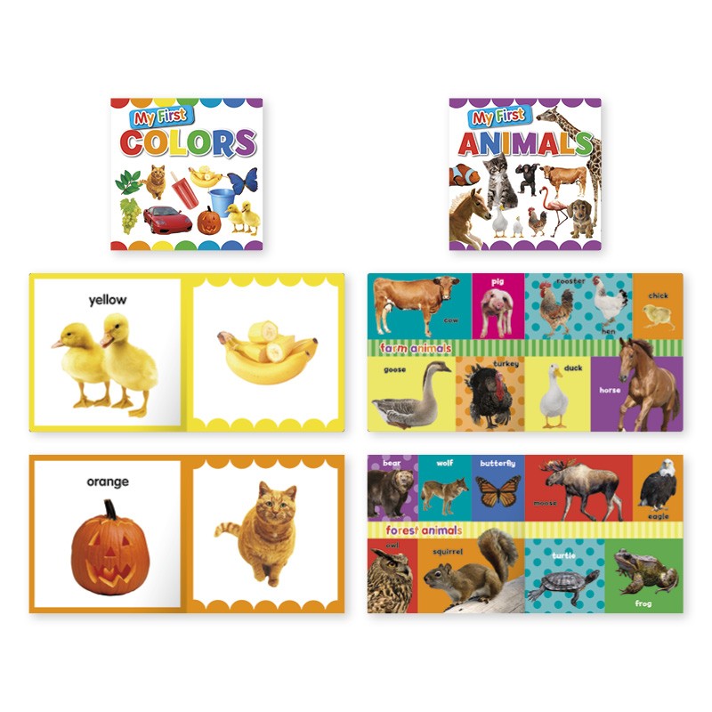 Baby Board Books: My First Animals, My First Color  (My First Board Book)