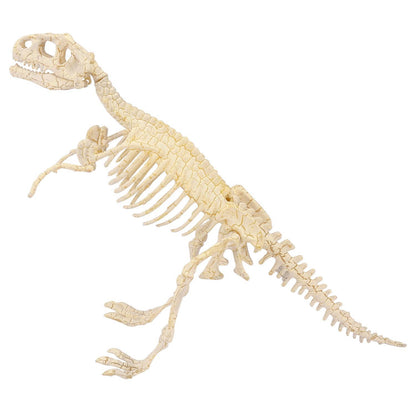 Heebie Jeebies Tyrannosaurus Palaeontology Kit